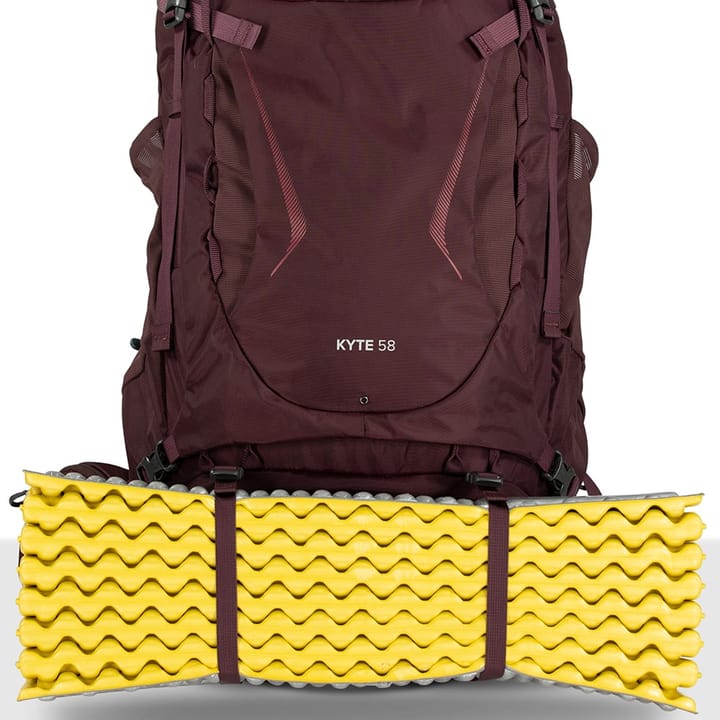 Osprey Women's Kyte 58 Elderberry Purple Osprey Osprey Women's Kyte 58 Elderberry Purple Osprey