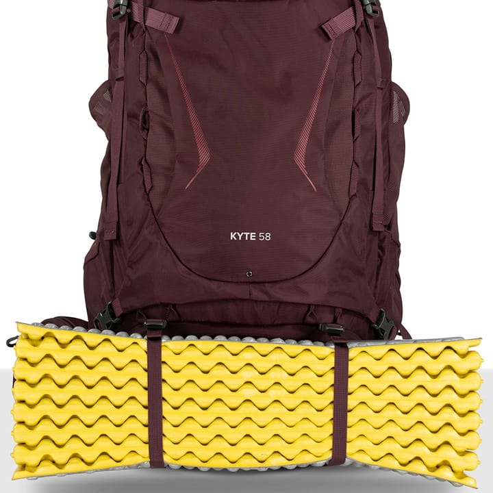 Osprey Kyte 58 Elderberry Purple Osprey