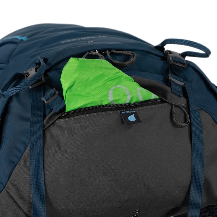 Osprey Men's Kestrel 48 Bonsai Green Osprey Osprey Men's Kestrel 48 Bonsai Green Osprey