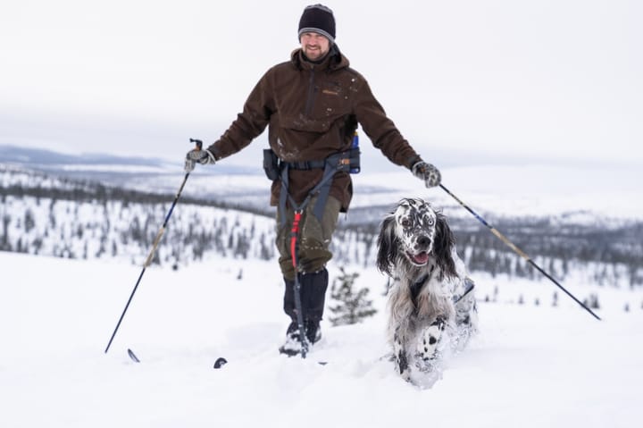 Seleverkstedet Joring Release Strap Grå/Brun Seleverkstedet