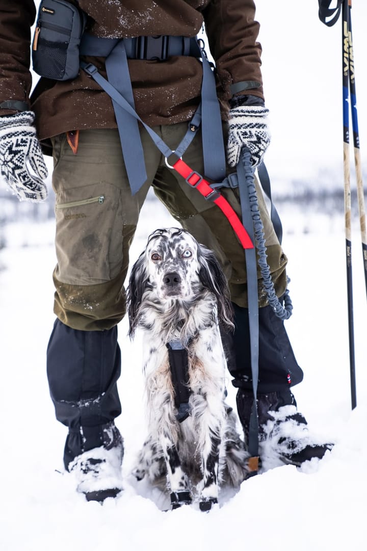 Seleverkstedet Joring Release Strap Grå/Brun Seleverkstedet