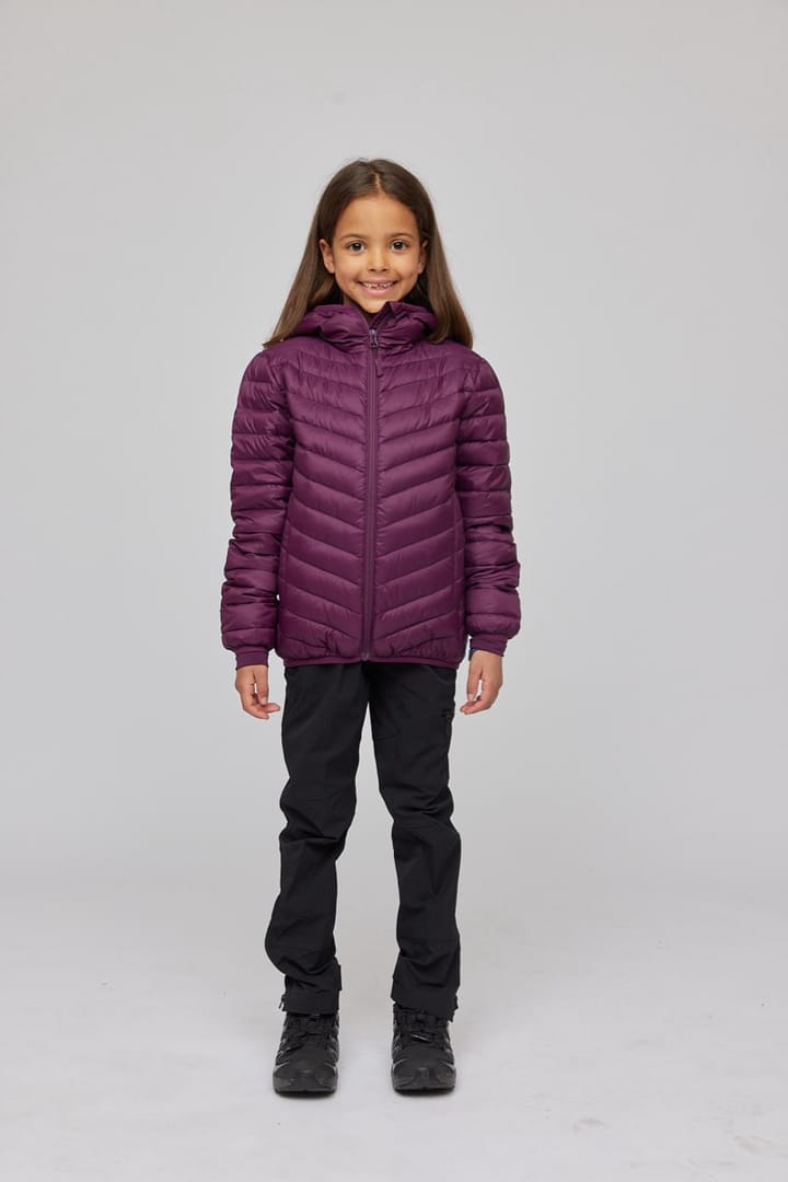 Skogstad J Hurum Potent Purple Skogstad Skogstad J Hurum Potent Purple Skogstad