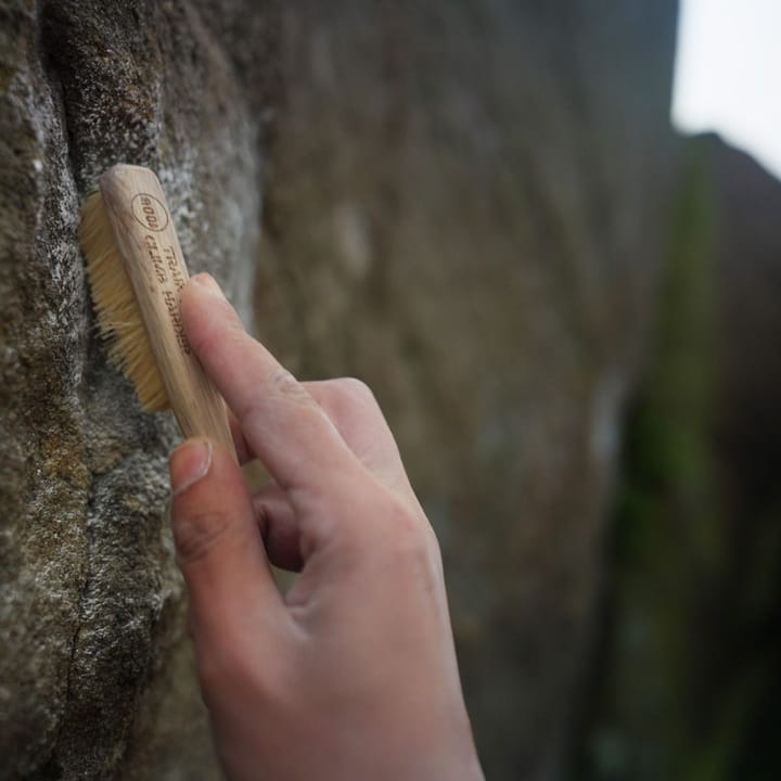 Moon Climbing Moon Voyager Brush Wood Moon Climbing