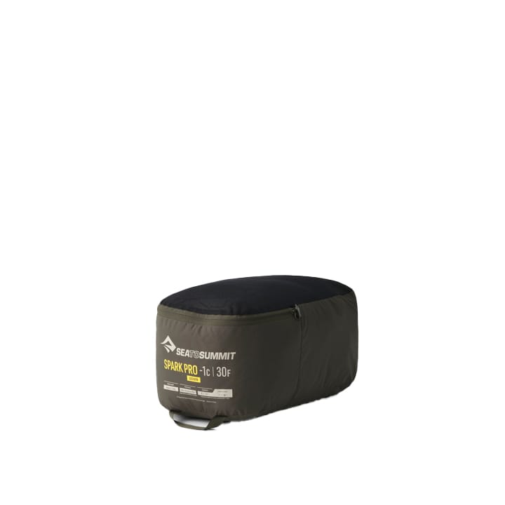 Sea To Summit Spark Pro -1C/30F Beluga Black Sea To Summit Sea To Summit Spark Pro -1C/30F Beluga Black Sea To Summit