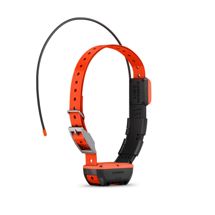 Garmin Alpha T20 Gps Collar, Nordic Black Garmin