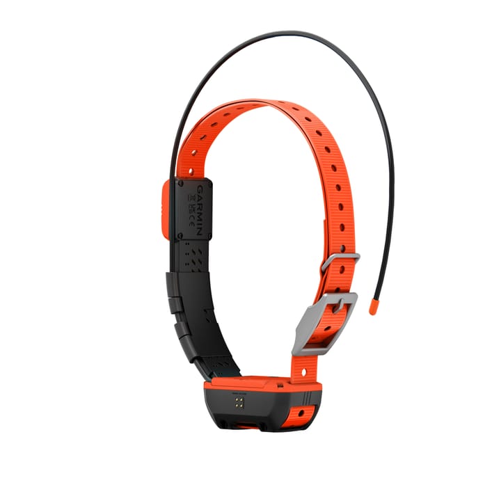 Garmin Alpha T20 Gps Collar, Nordic Black Garmin