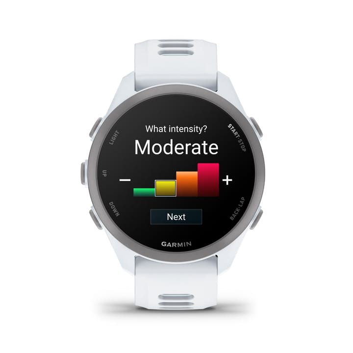 Garmin Forerunner 170 Whitestone/cloud Blue Garmin