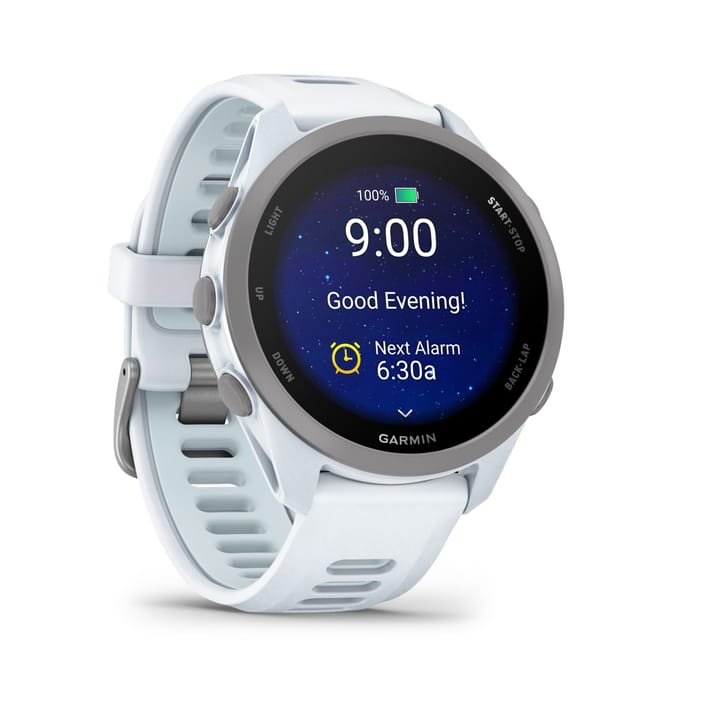 Garmin Forerunner 170 Whitestone/cloud Blue Garmin