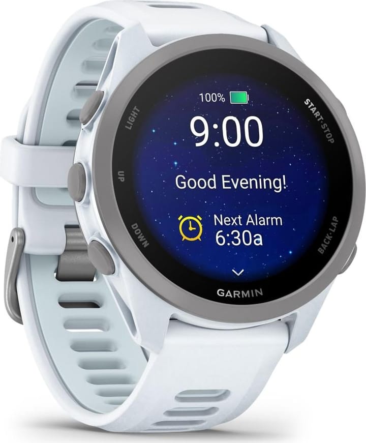 Garmin Forerunner 170 Whitestone/cloud Blue Garmin