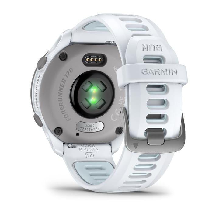 Garmin Forerunner 170 Whitestone/cloud Blue Garmin