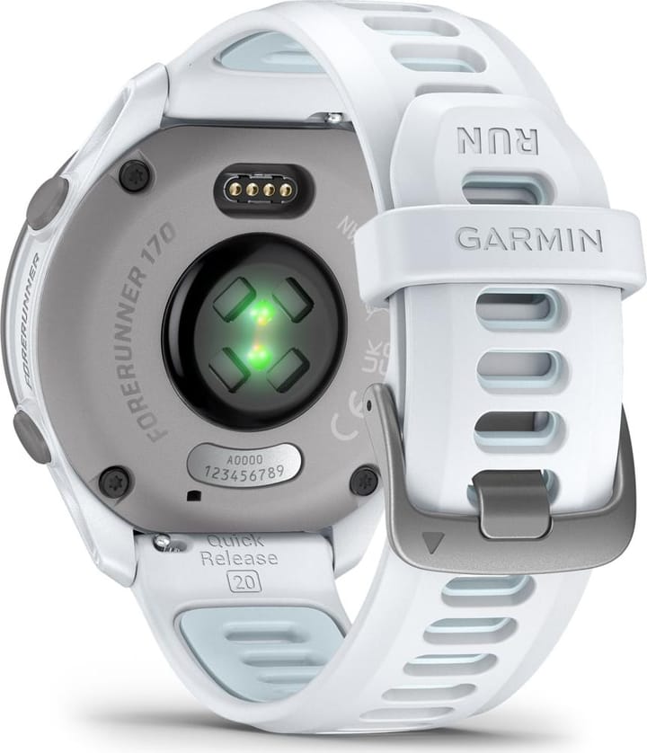 Garmin Forerunner 170 Whitestone/cloud Blue Garmin