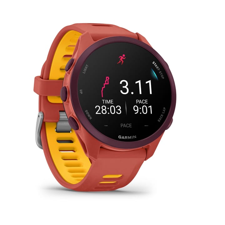 Garmin Forerunner 170 Music Red Pink/mango Garmin