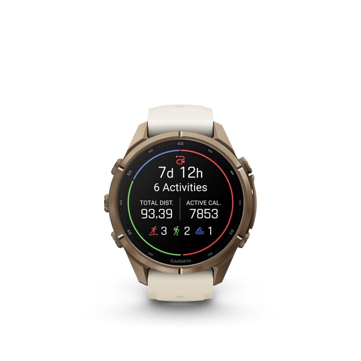 Garmin Fenix 9 Pro, Amoled, Inreach, 43mm, Gold/fog Gray Garmin