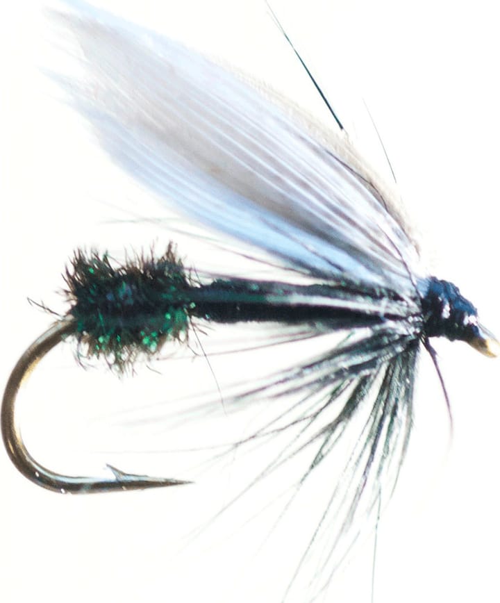 Xstream Black Ant #10 Dobbelkrok Black Ant Xstream