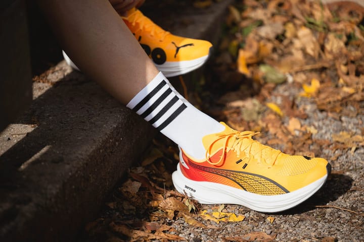 Incylence Renewed 97 Impact High White Incylence