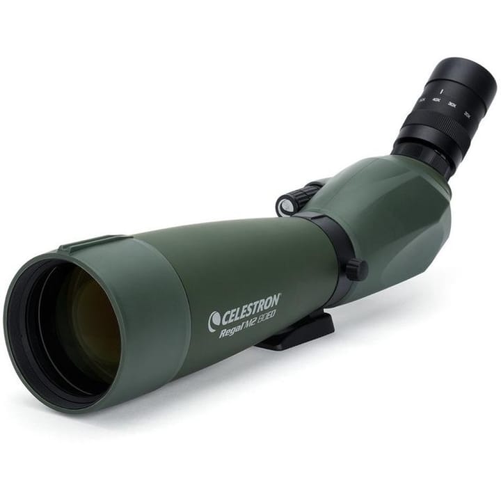 Celestron Regal M2 20-60x80mm Celestron