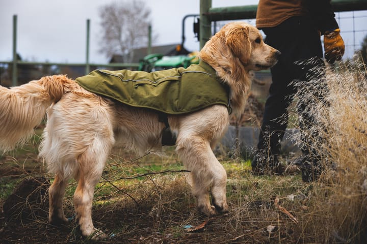 Ruffwear Overcoat Fuse™ Insulated Vest Purple Umber Ruffwear