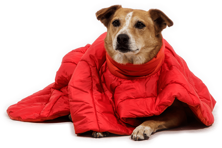 Ruffwear Palisades Sleep Poncho Red Currant Ruffwear
