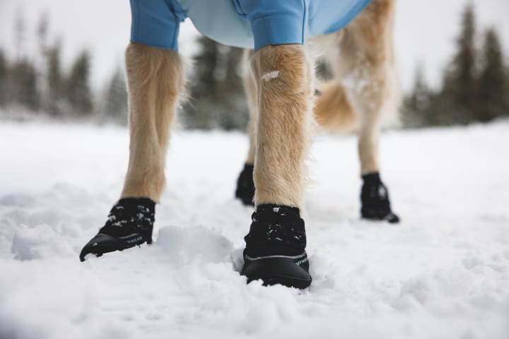 Ruffwear Polar Trex Dog Winter Boots 2-pack Obsidian Black Ruffwear