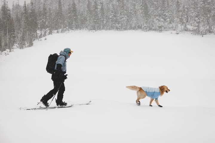 Ruffwear Polar Trex Dog Winter Boots 2-pack Obsidian Black Ruffwear
