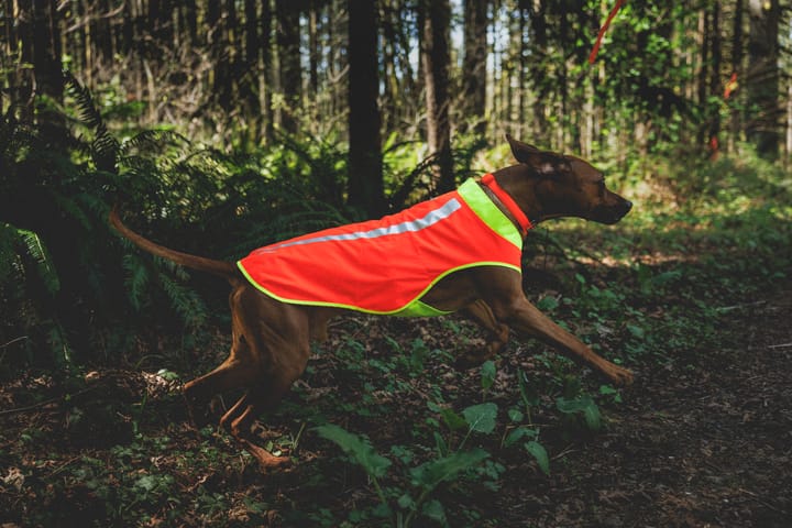 Ruffwear Lumenglow™ High-Vis Vest Blaze Orange Ruffwear