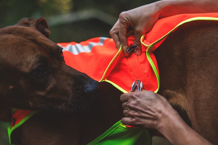 Ruffwear Lumenglow™ High-Vis Vest Blaze Orange Ruffwear