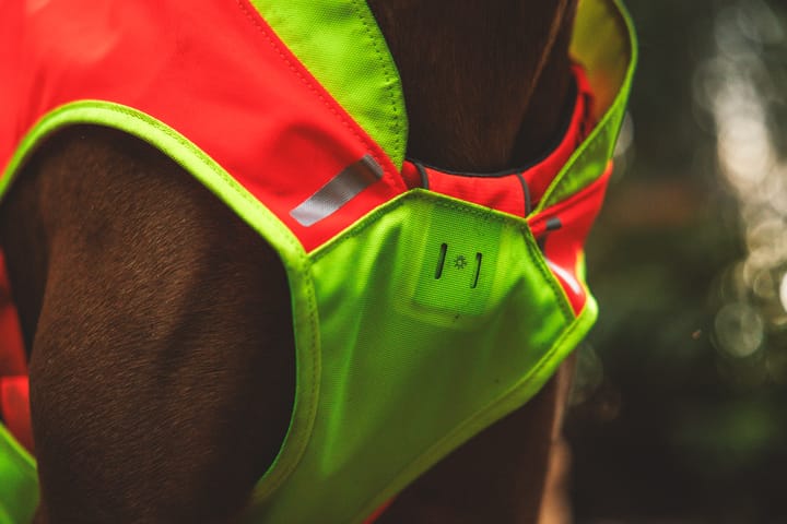 Ruffwear Lumenglow™ High-Vis Vest Blaze Orange Ruffwear