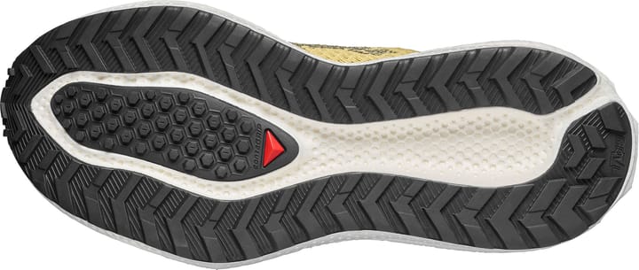 Salomon Men's Aero Glide 4 Grvl Beach Ball/Asphalt/Vanilla Ice Salomon