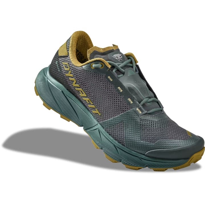 Dynafit Ultra 100 GTX M Lichen/atlantic Dynafit