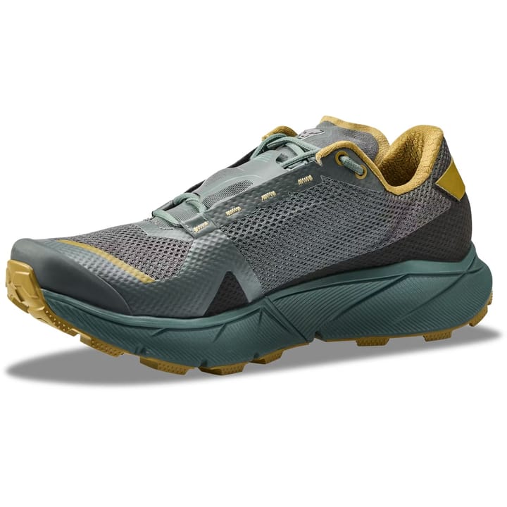 Dynafit Ultra 100 GTX M Lichen/atlantic Dynafit