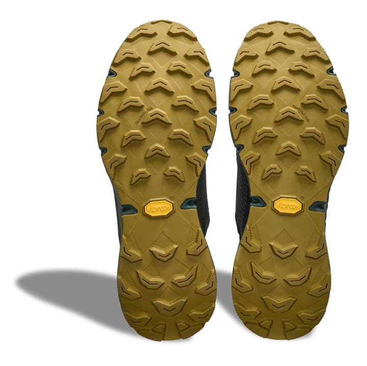 Dynafit Ultra 100 GTX M Lichen/atlantic Dynafit