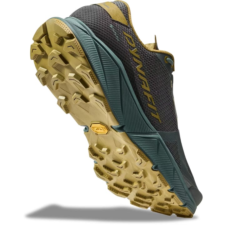 Dynafit Ultra 100 GTX M Lichen/atlantic Dynafit