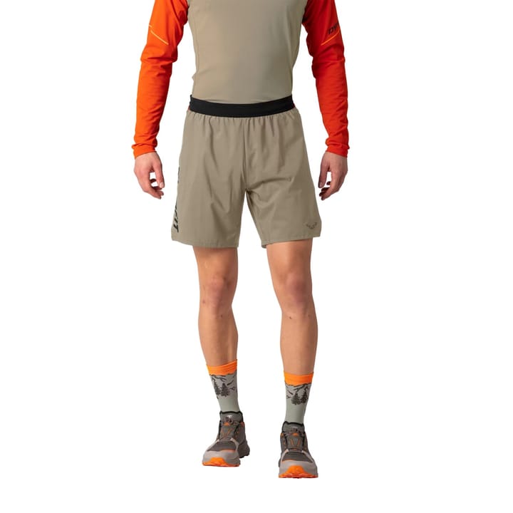 Dynafit Alpine Pro 2/1 Shorts M Fallen Rock/0910 Dynafit