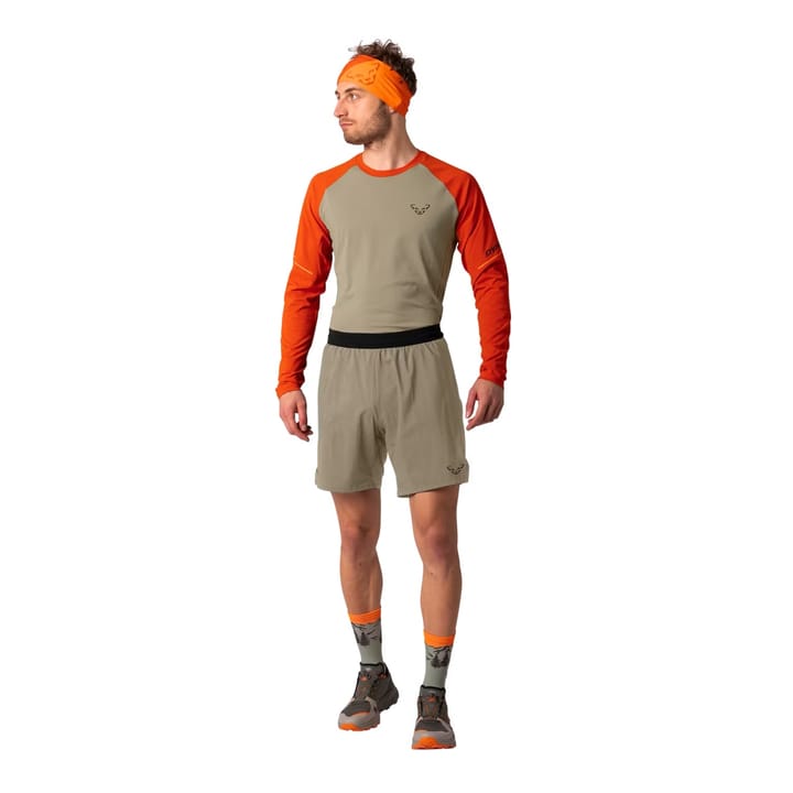 Dynafit Alpine Pro 2/1 Shorts M Fallen Rock/0910 Dynafit
