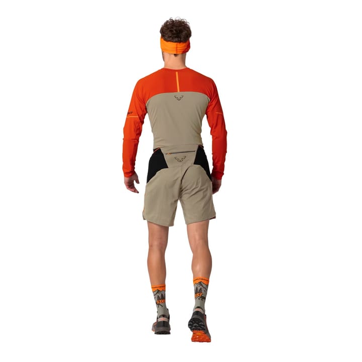 Dynafit Alpine Pro 2/1 Shorts M Fallen Rock/0910 Dynafit