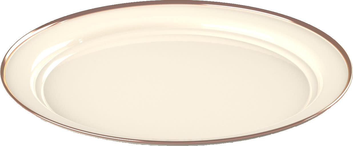 GSI Mesa Plate