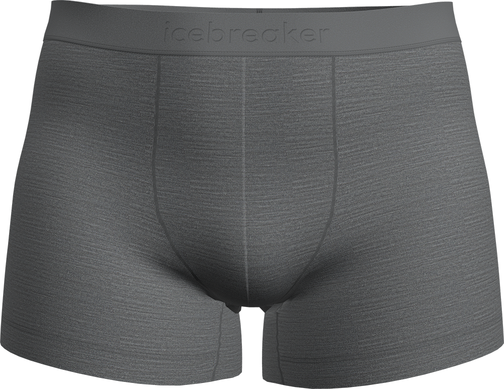 ICEBREAKER Sporttrosa '125 Anatomica' boxershorts herr – bild 2