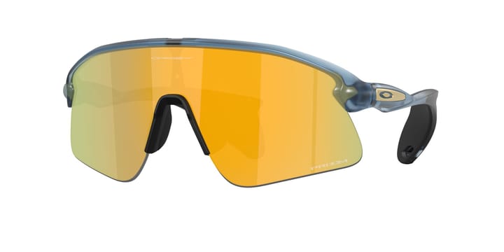 Oakley Stunt Devil Matte Trans Abyss/Prizm 24k Oakley