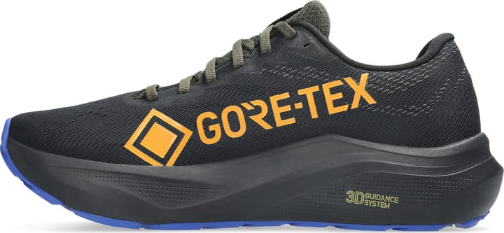 Asics Men's GT-2000 14 GORE-TEX Black/Vanilla Asics