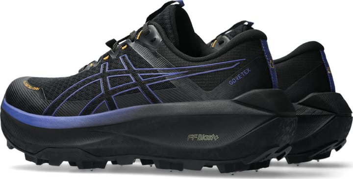 Asics Men's Fujisetsu Max GORE-TEX Black/Dark Cobalt Asics