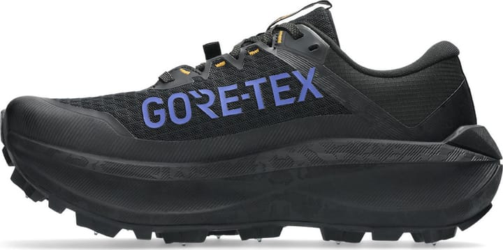 Asics Men's Fujisetsu Max GORE-TEX Black/Dark Cobalt Asics