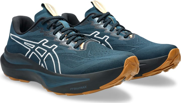 Asics Men's GT-2000 14 TR Nature Bathing/Tranquil Teal Asics