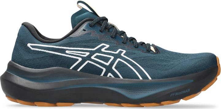 Asics Men's GT-2000 14 TR Nature Bathing/Tranquil Teal Asics