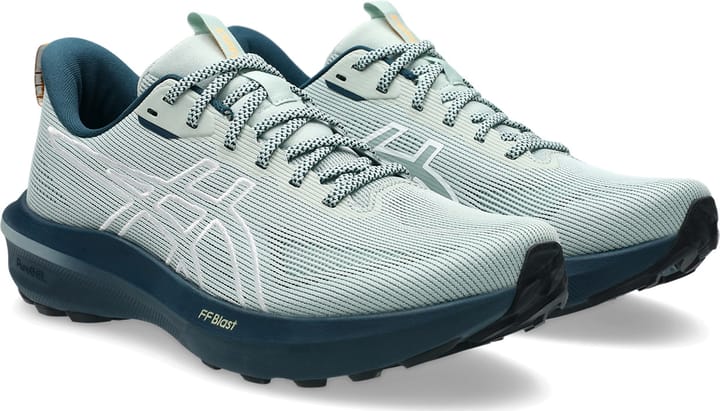 Asics Men's GT-1000 14 TR Nature Bathing/Lichen Rock Asics