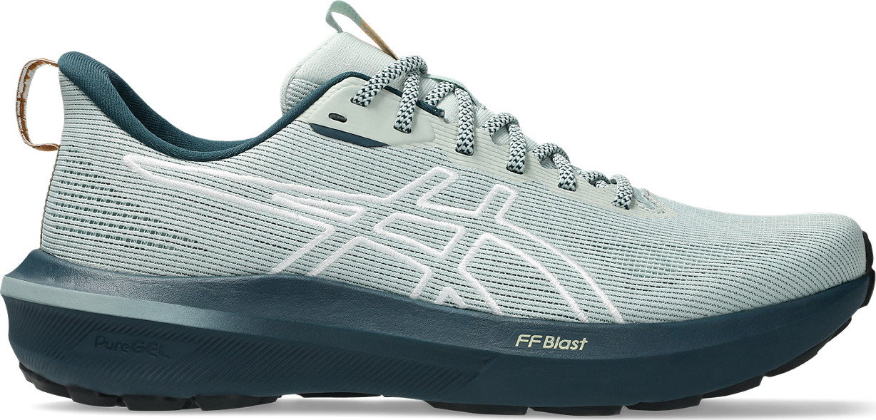 Asics Men's GT-1000 14 TR Nature Bathing/Lichen Rock Løpesko 41.5