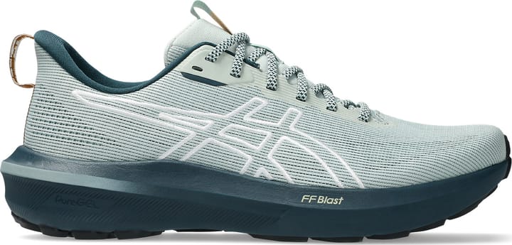 Asics Men's GT-1000 14 TR Nature Bathing/Lichen Rock Asics