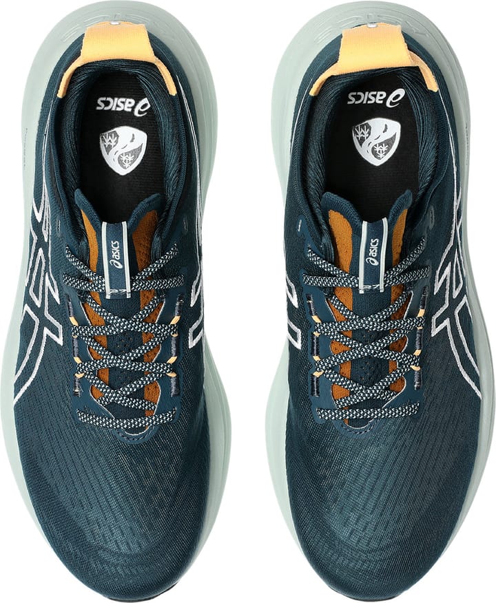 Asics Men's GEL-Nimbus 27 TR Nature Bathing/Tranquil Teal Asics