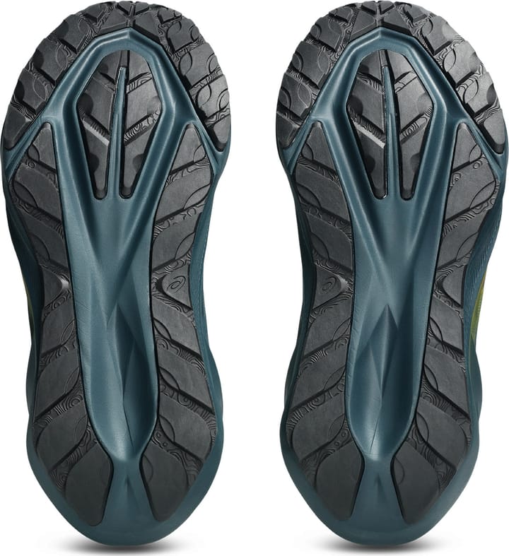 Asics Men's Novablast 5 TR Nature Bathing/Lichen Rock Asics
