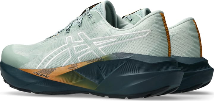Asics Men's Novablast 5 TR Nature Bathing/Lichen Rock Asics