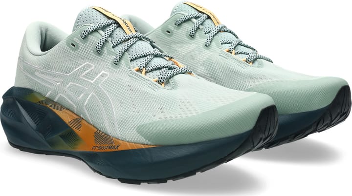 Asics Men's Novablast 5 TR Nature Bathing/Lichen Rock Asics Asics Men's Novablast 5 TR Nature Bathing/Lichen Rock Asics